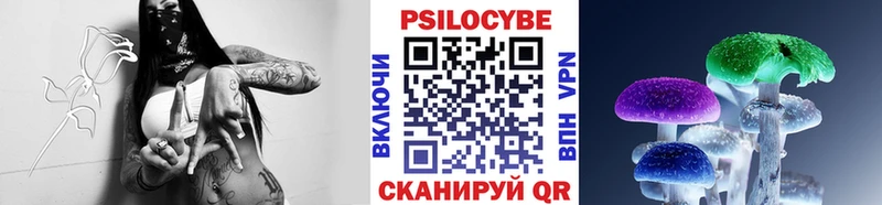 кракен зеркало  нарко площадка Telegram  Псилоцибиновые грибы GOLDEN TEACHER  Беломорск 