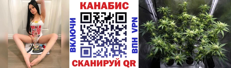 Бошки Шишки тримм  где продают наркотики  Беломорск 